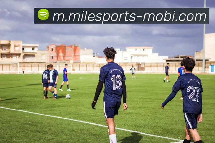 米乐体育APP 封面图